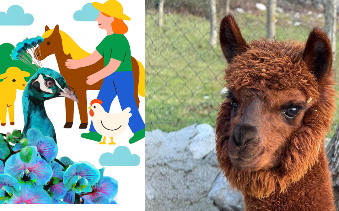 Family Farm: attività con animali 