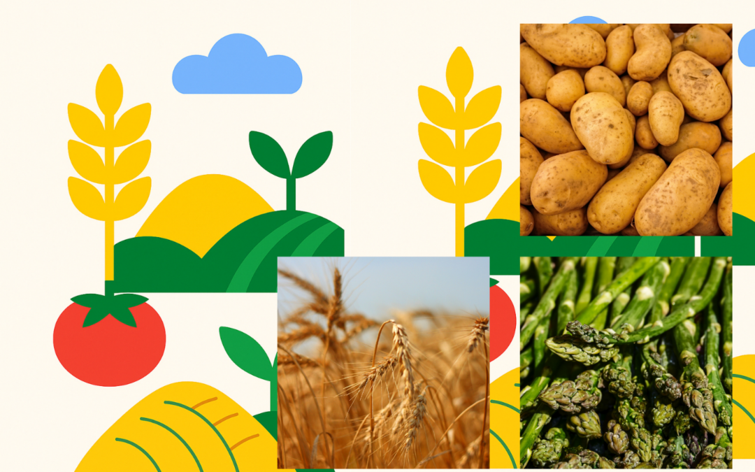 🌿 Agricoltura d’altura: sapori che parlano di terra